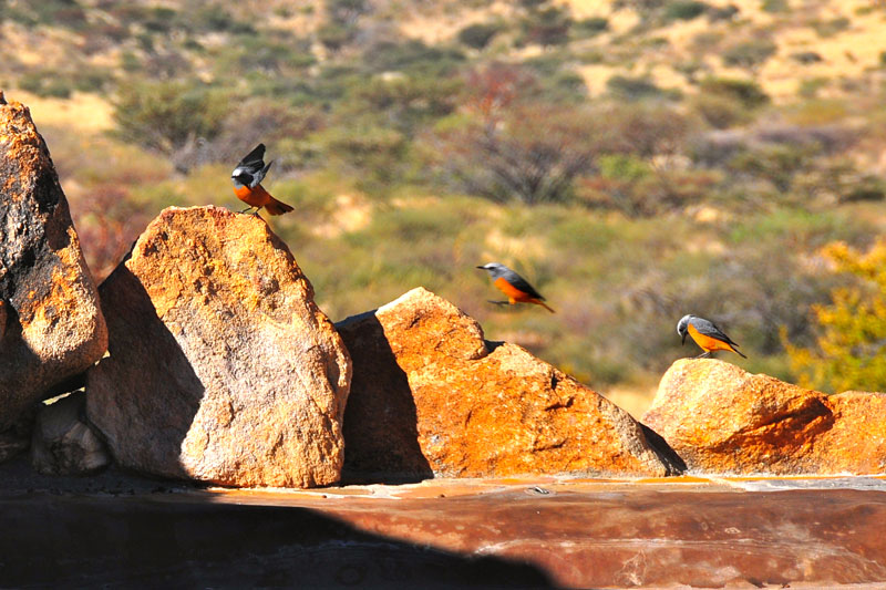 Namibia